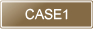 ケース1